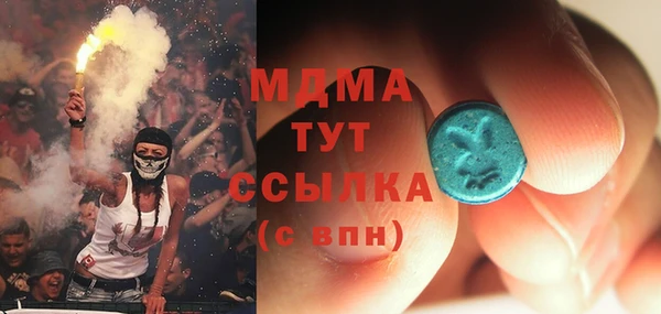 индика Беломорск