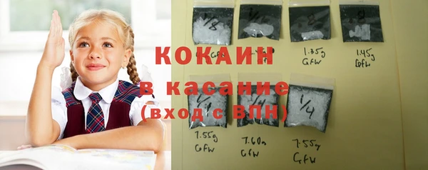 индика Беломорск