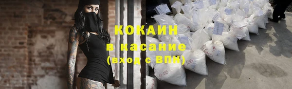 индика Беломорск