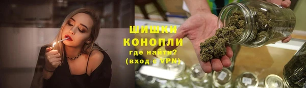 индика Беломорск