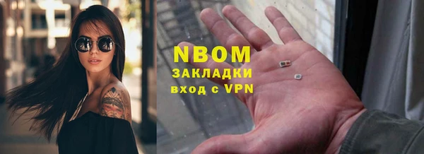 индика Беломорск