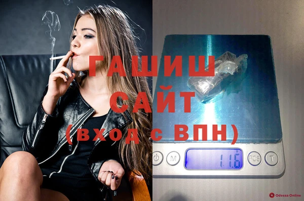 индика Беломорск