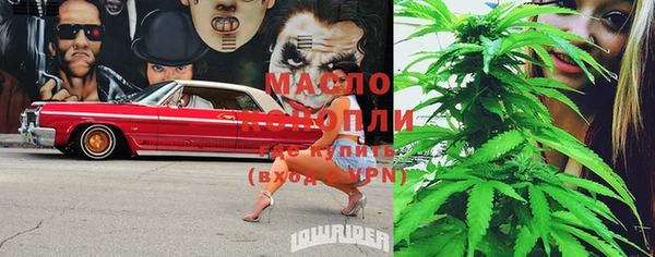 индика Беломорск