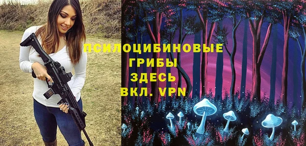 амфетамин Белокуриха