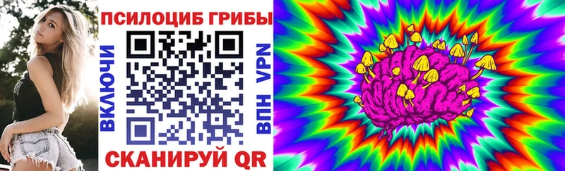 Галлюциногенные грибы GOLDEN TEACHER  купить наркотик  Володарск 